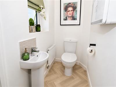 Picture 7